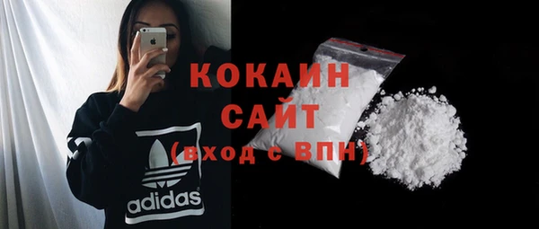 хмурый Осинники