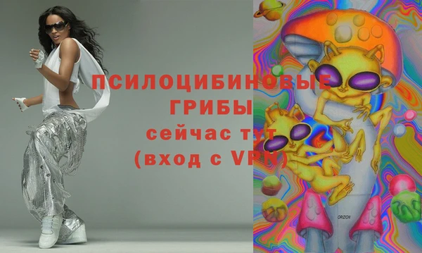 соль ск Алексин