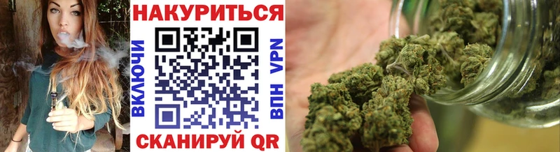 Каннабис планчик Джанкой